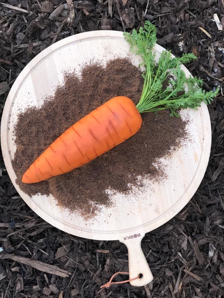 Carrot on a platter 